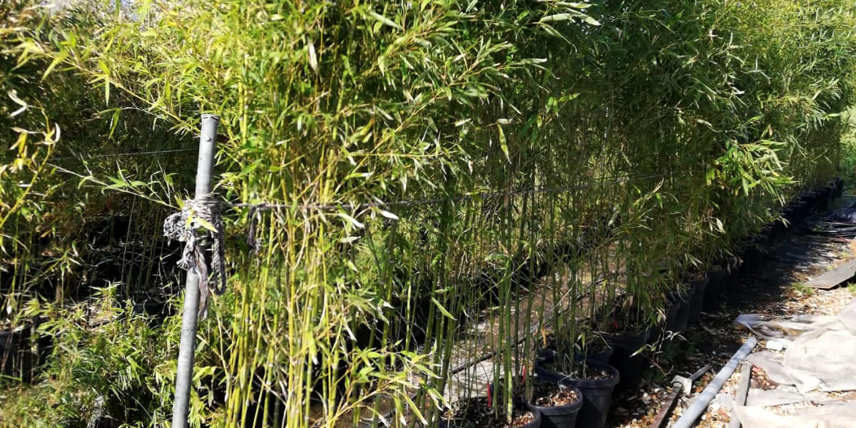 273694835_431953781891948_1847764606766083285_n