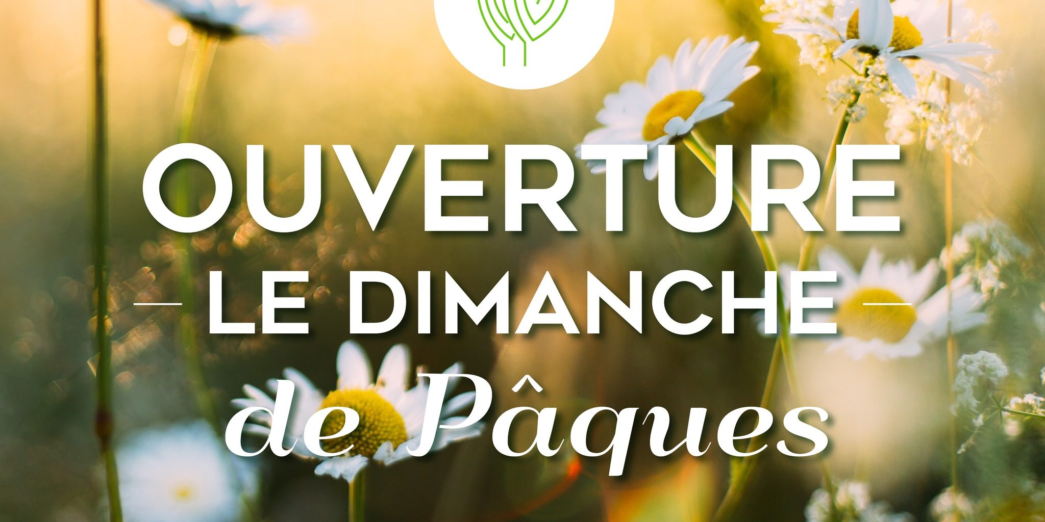 278381691_469369064817086_6172817533003601013_n