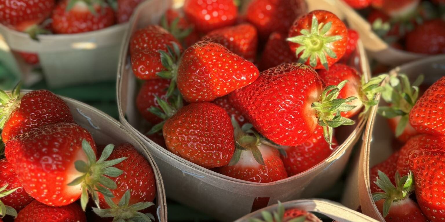 487558893_1235196771567641_2388951506175937214_n